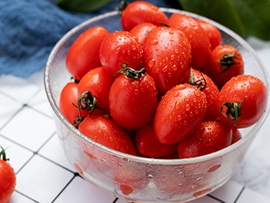 九游电竞平台基地展示六